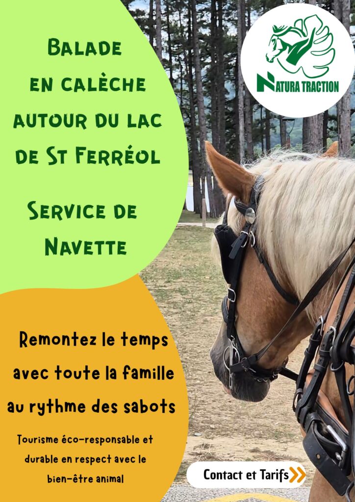 Recto balade en calèche st fereol