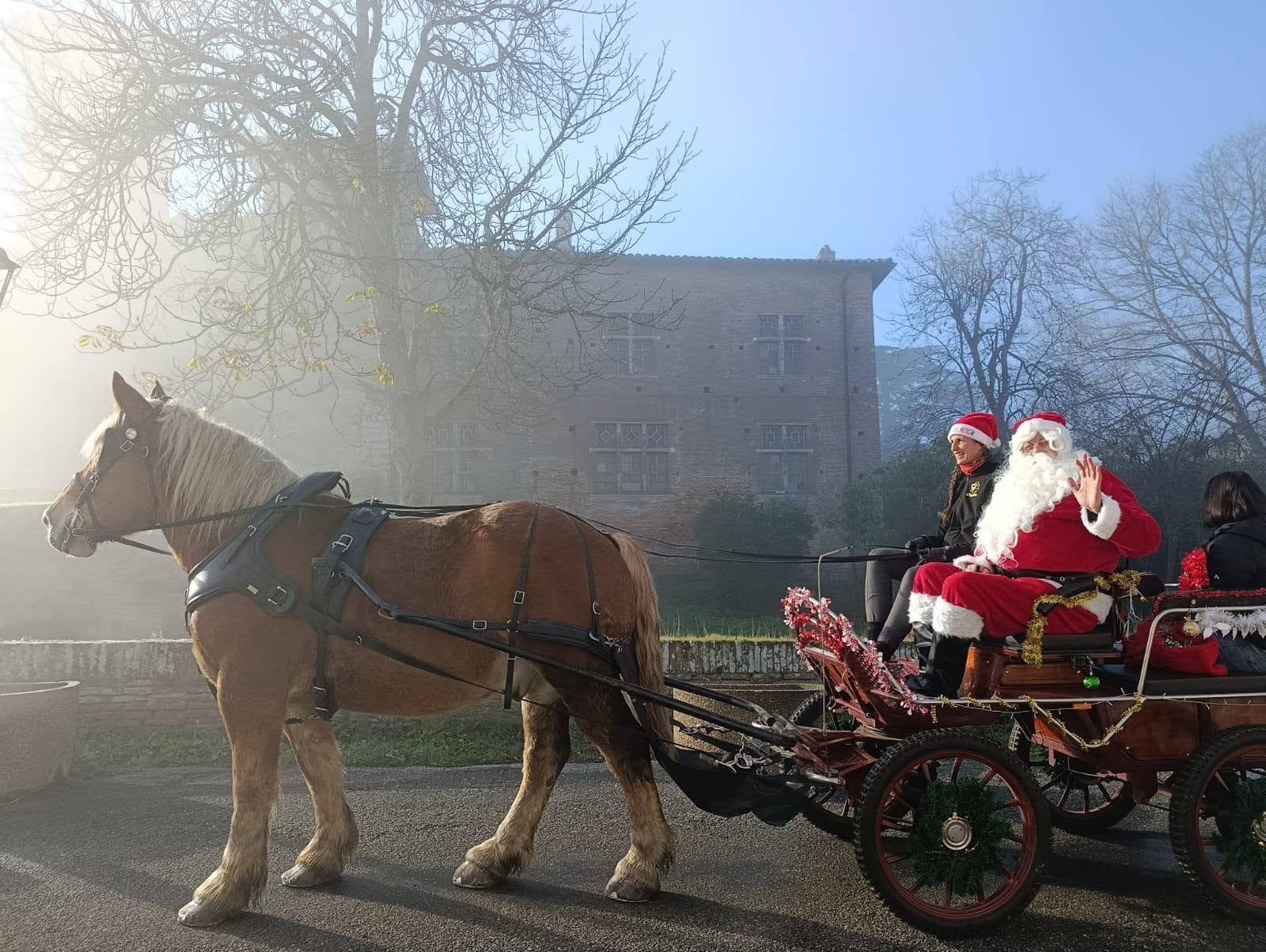 Calèche noel