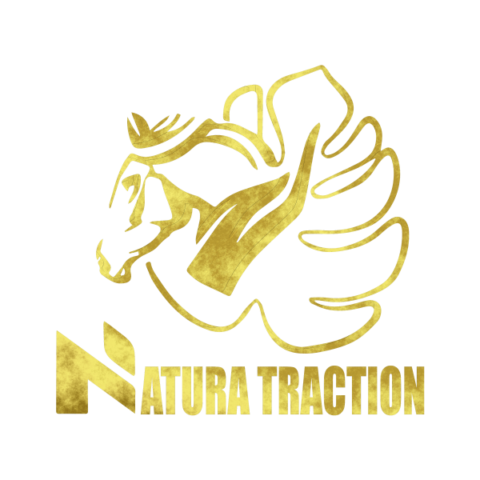 Logo Natura traction