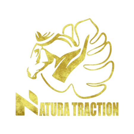 Logo natura traction