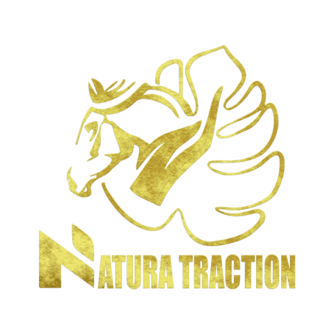 Logo natura traction