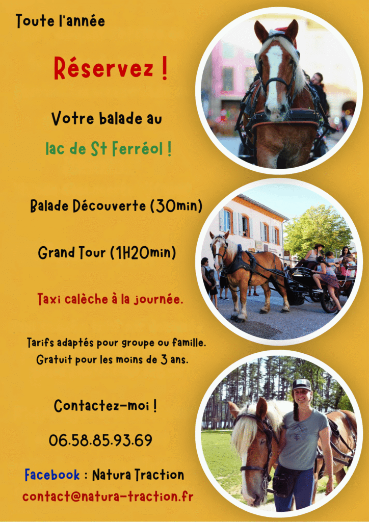 Verso balade en calèche st fereol