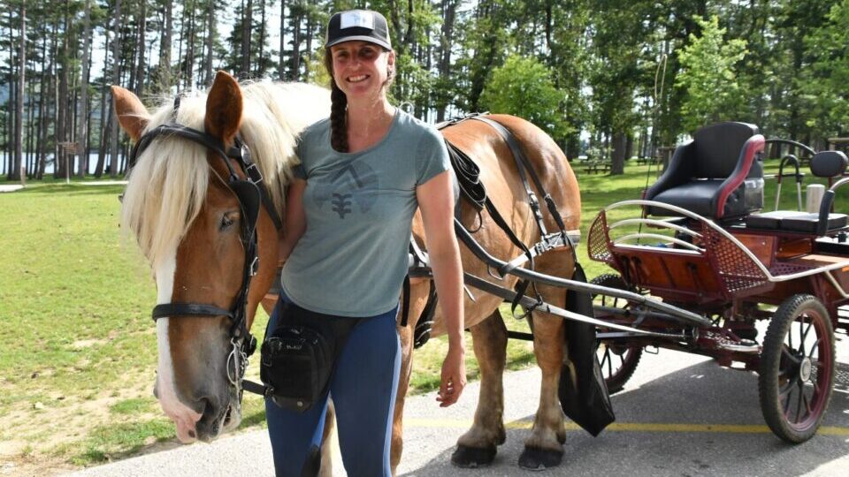 Meneuse souriante + cheval + calèche
